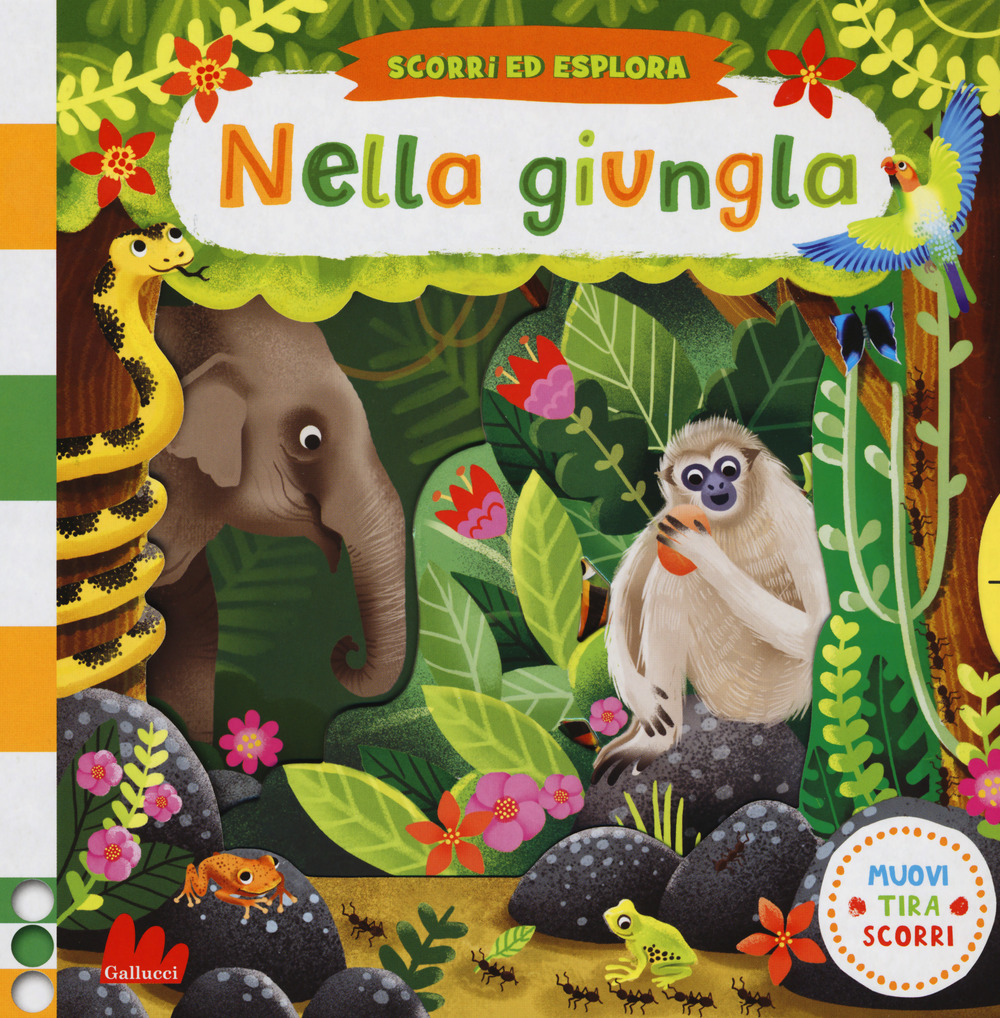 Nella giungla. Scorri ed esplora