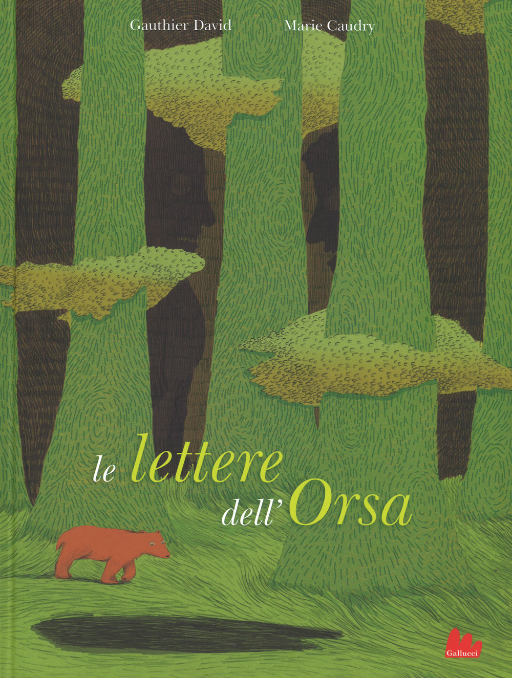 Le lettere dell'orsa