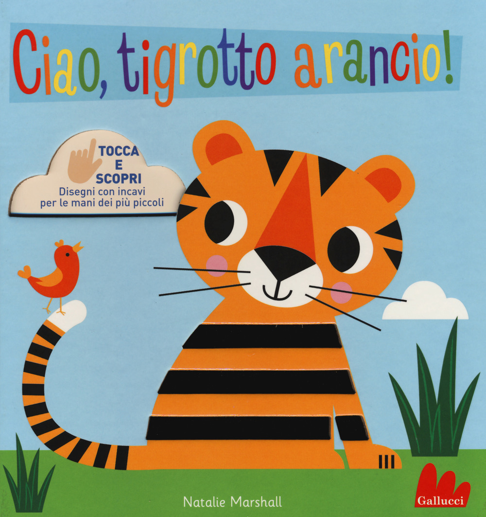Ciao, tigrotto arancio! Tocca e scopri