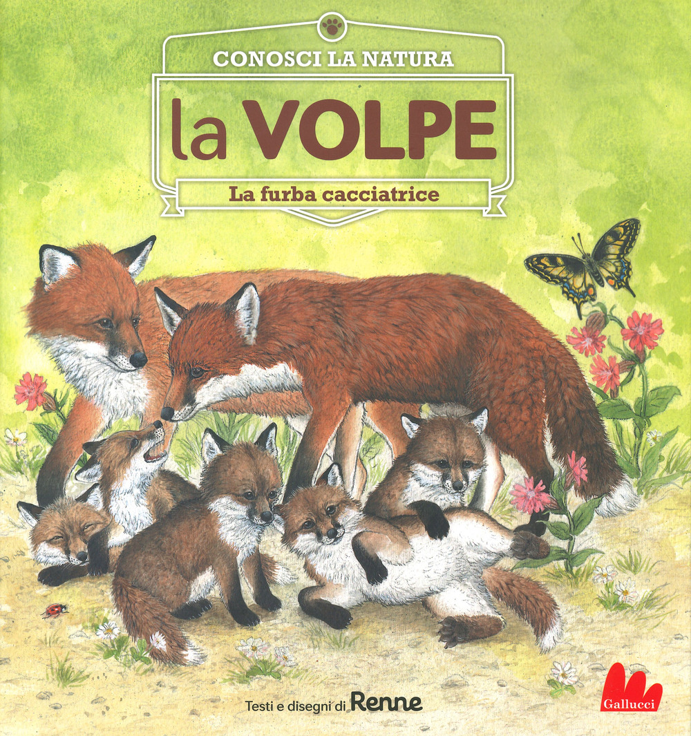 La volpe. La furba cacciatrice. Conosci la natura