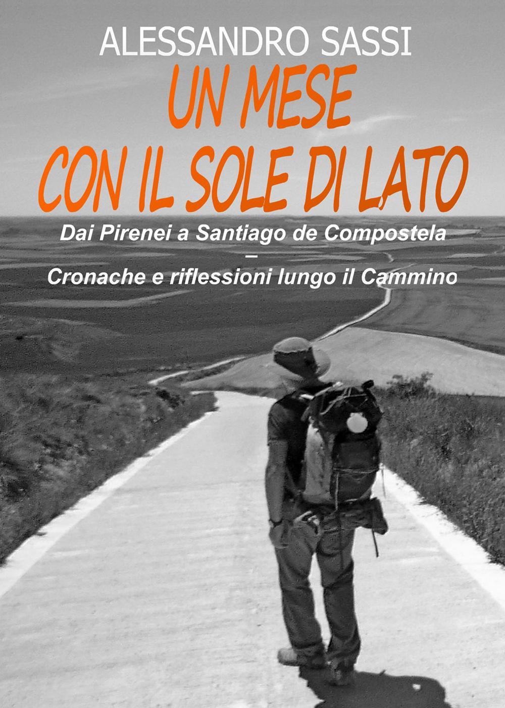 Un mese con il sole di lato. Dai Pirenei a Santiago de Compostela. Cronache e riflessioni lungo il cammino