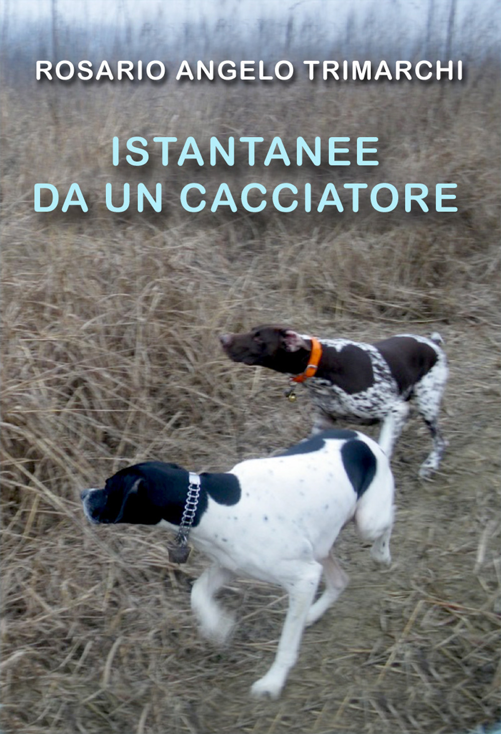Istantanee da un cacciatore