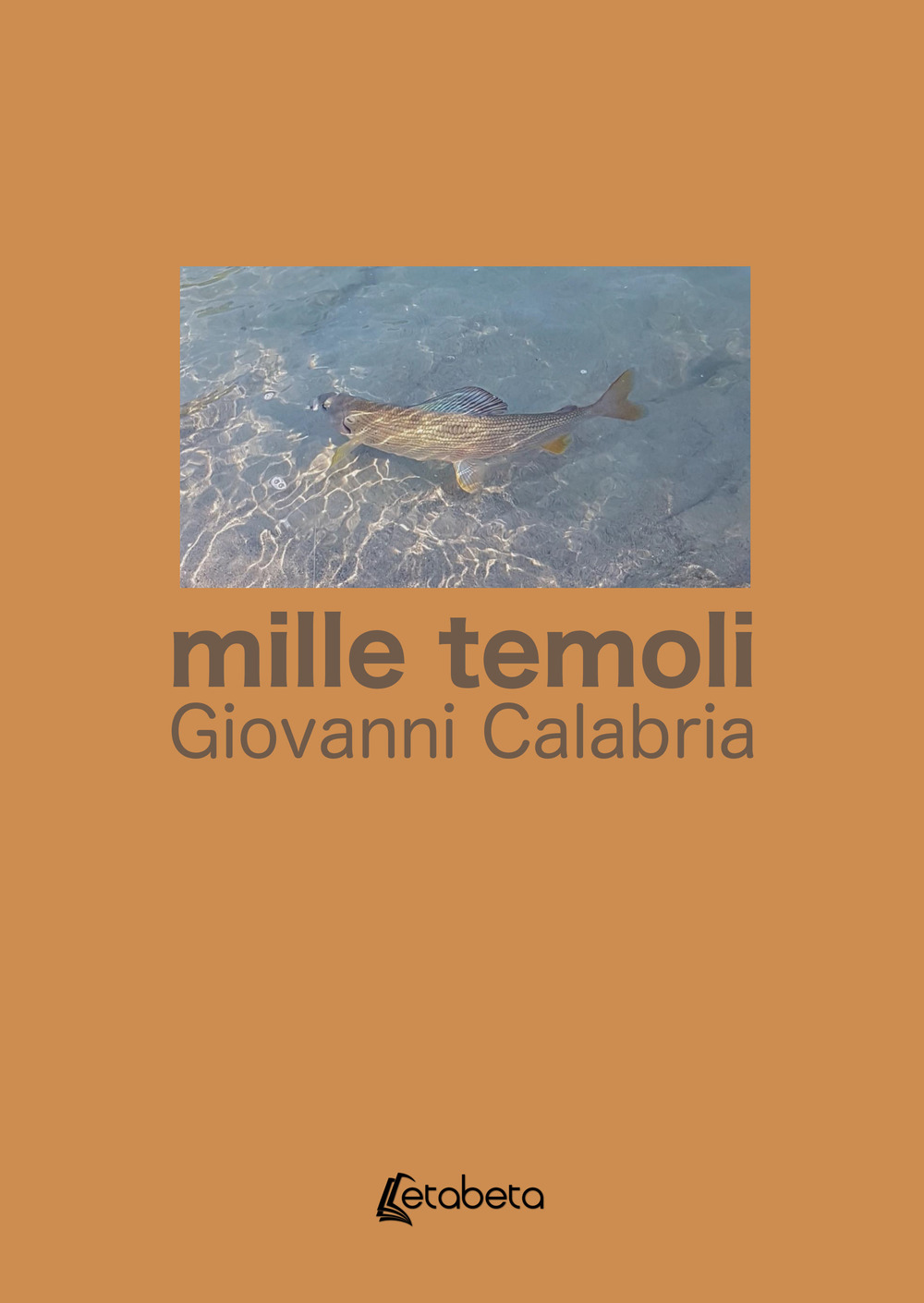 Mille temoli