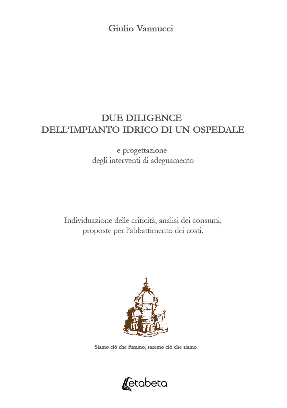 Due diligence dell’impianto idrico di un ospedale e progettazione degli interventi di adeguamento. Individuazione delle criticità, analisi dei consumi, proposte per l’abbattimento dei costi