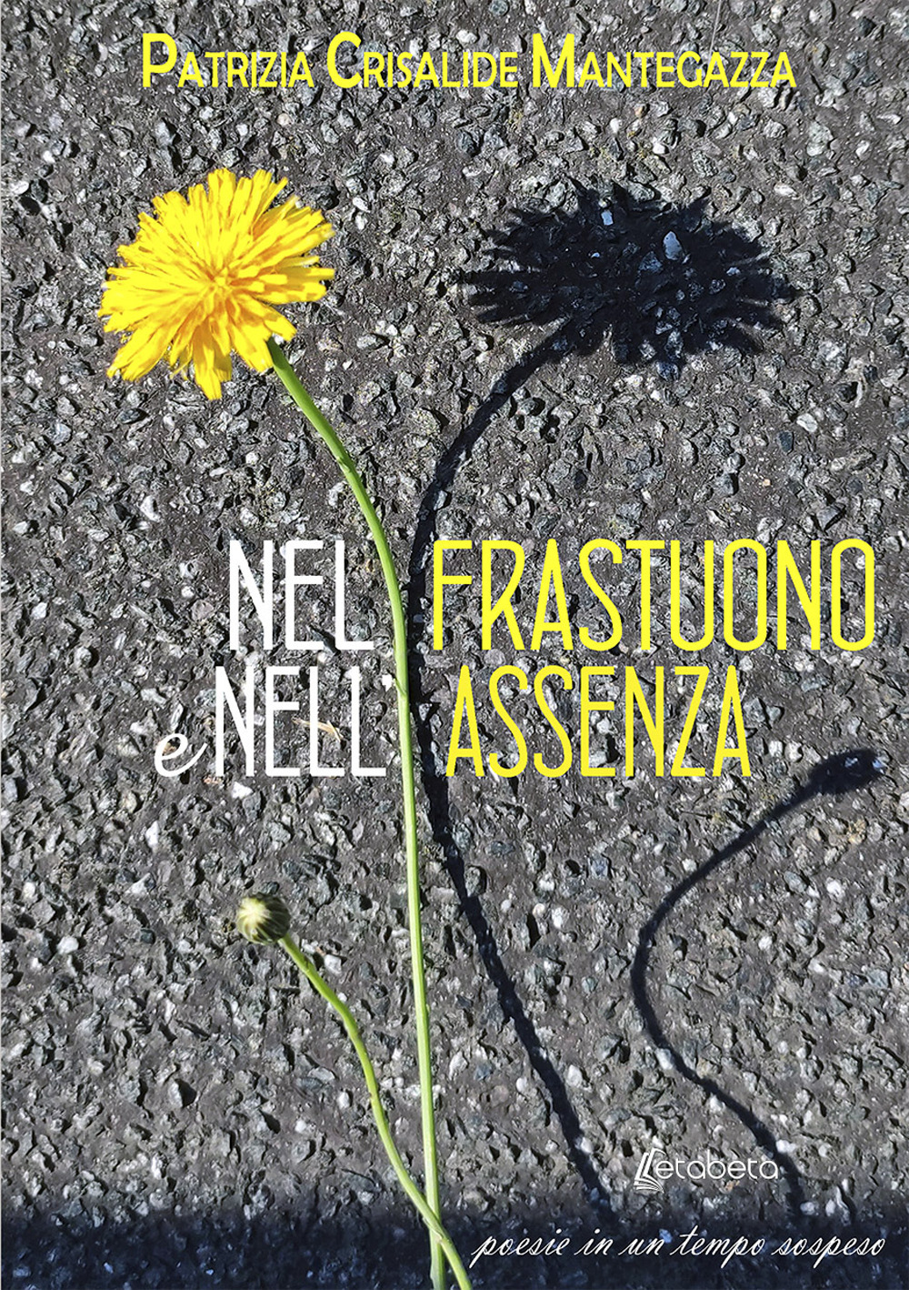 Nel frastuono e nell’assenza. Poesie in un tempo sospeso