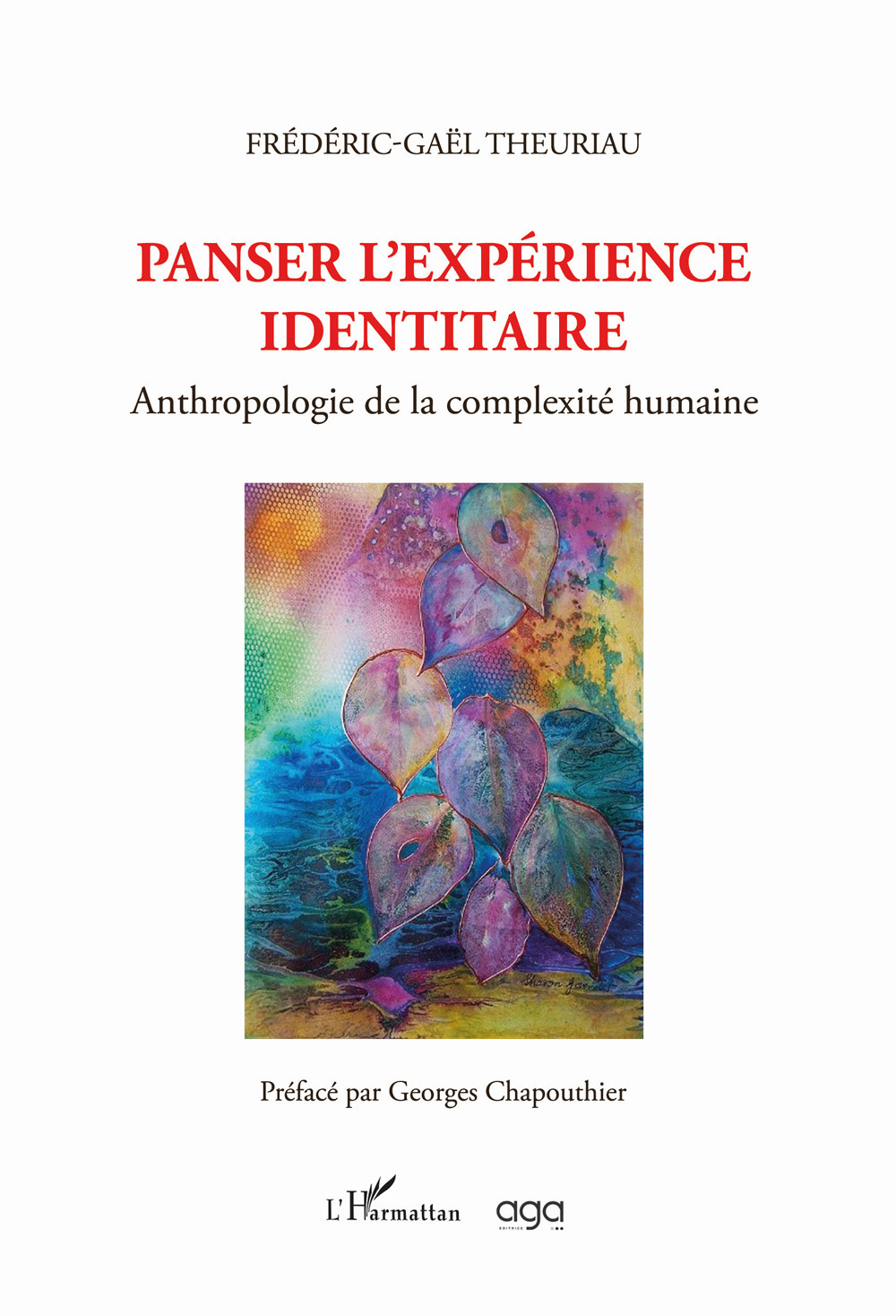 Panser l’expérience identitaire. Anthropologie de la complexité humaine