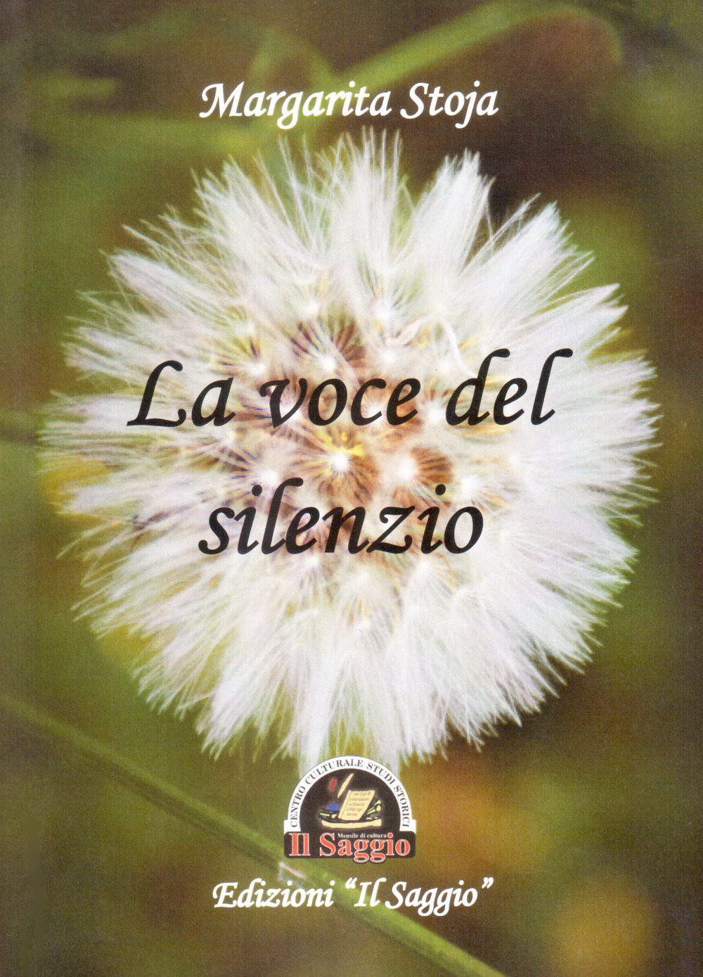 La voce del silenzio