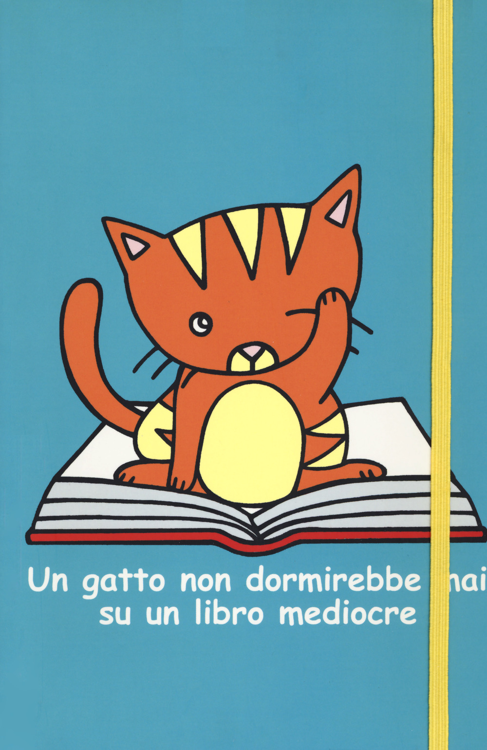 Un gatto non dormirebbe mai su un libro mediocre. Quaderno editoriale
