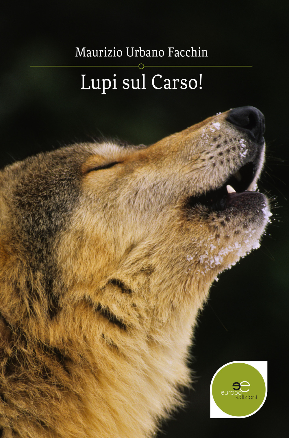 Lupi sul Carso!