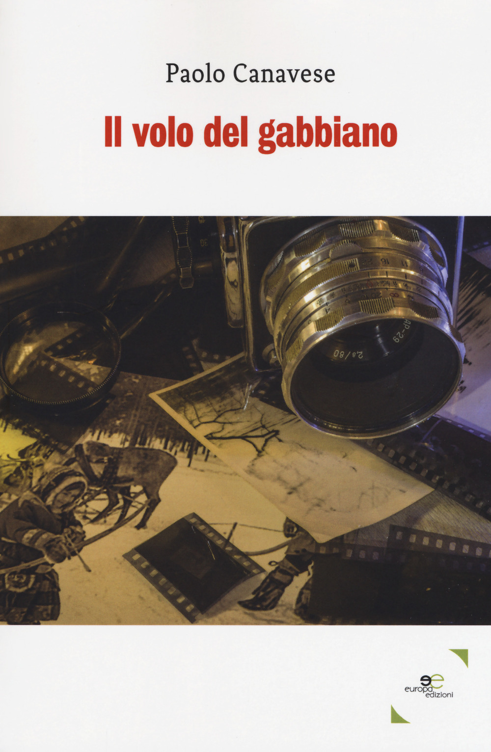 Il volo del gabbiano