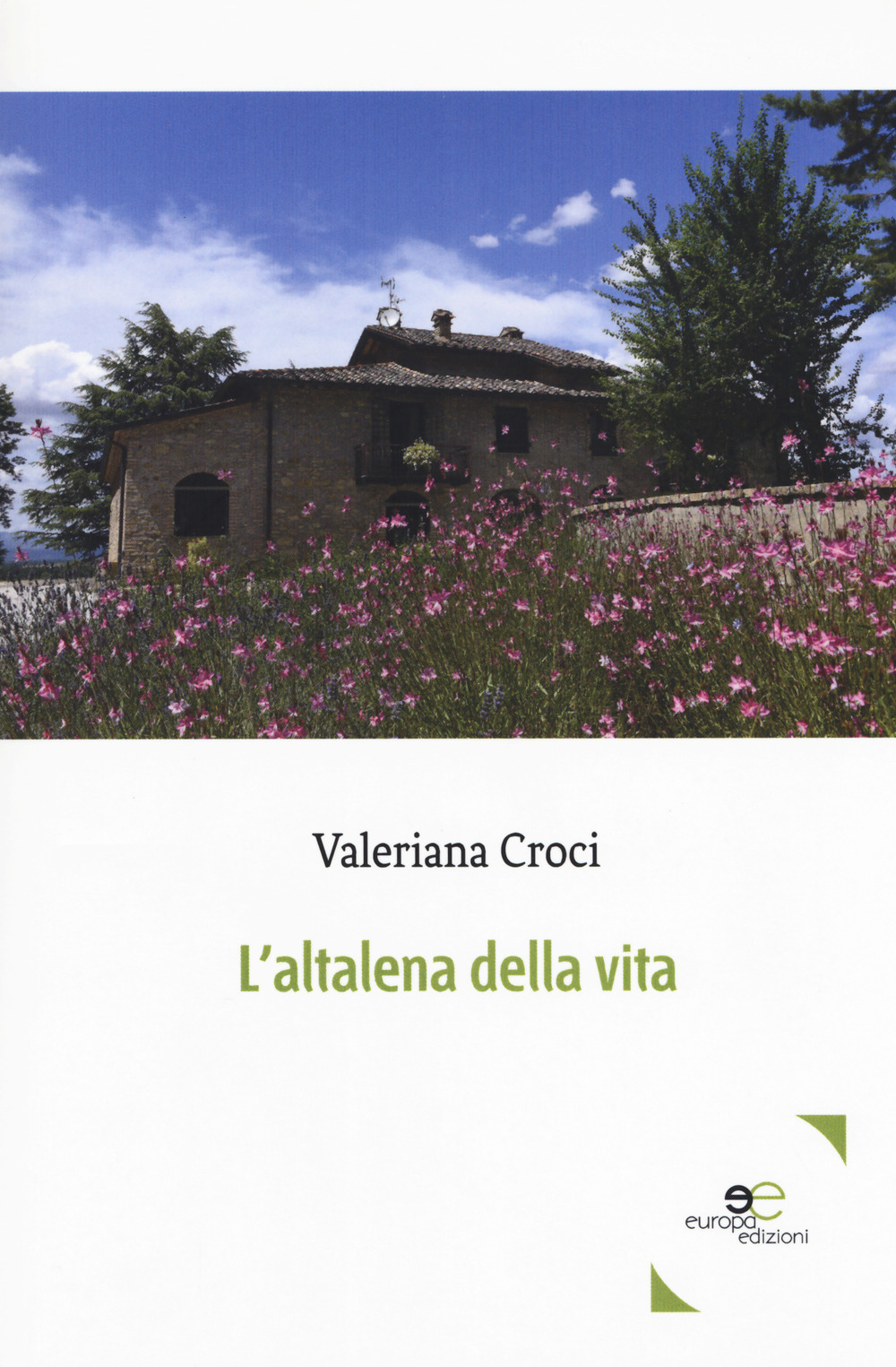 L'altalena della vita