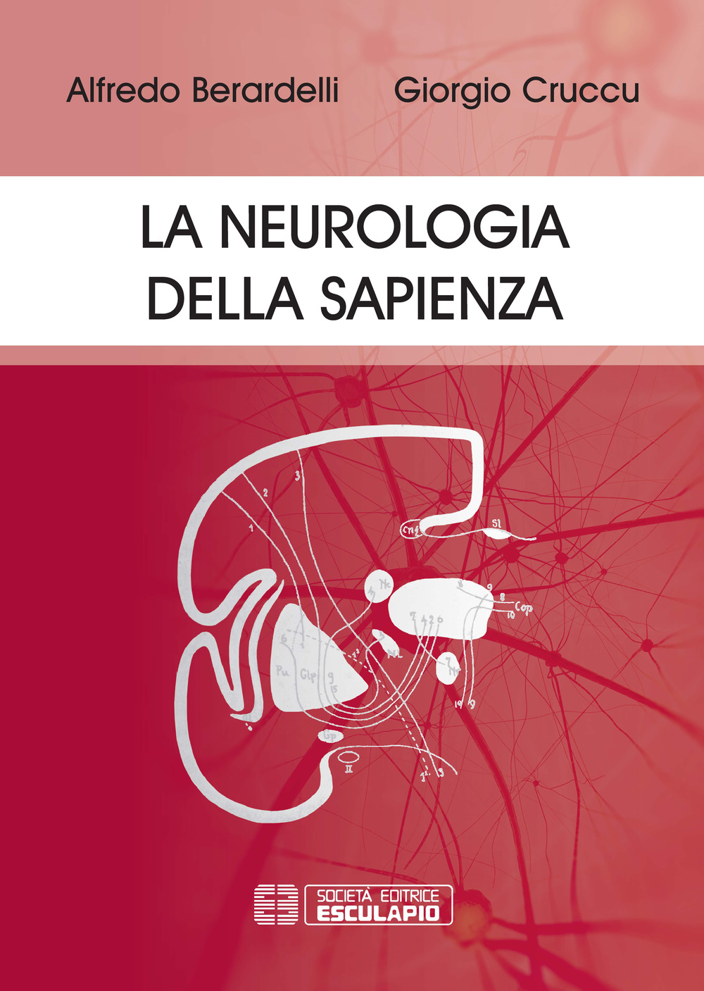 La neurologia della Sapienza