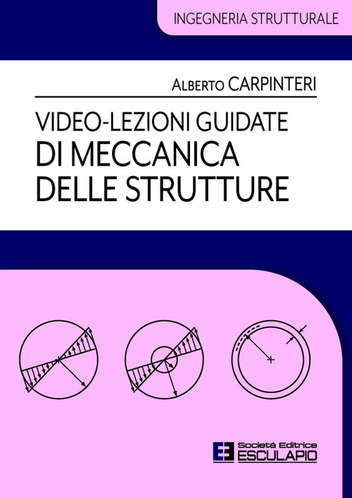 Video-lezioni guidate di meccanica delle strutture