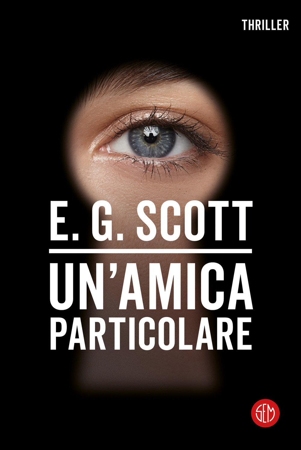 Un'amica particolare