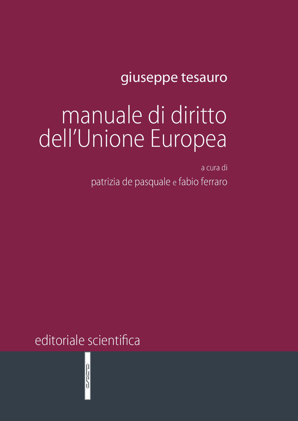 Manuale di diritto dell'Unione Europea