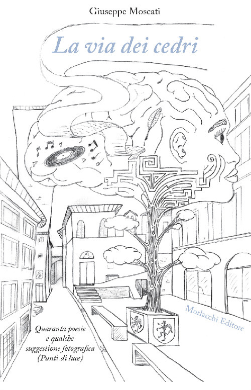 La via dei cedri. Quaranta poesie e qualche suggestione fotografica (Punti di luce)