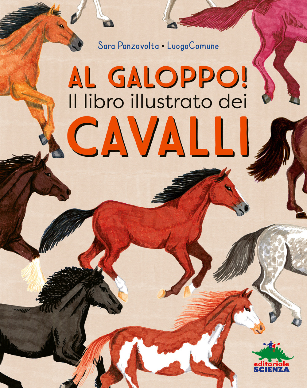 Al galoppo! Il libro illustrato dei cavalli