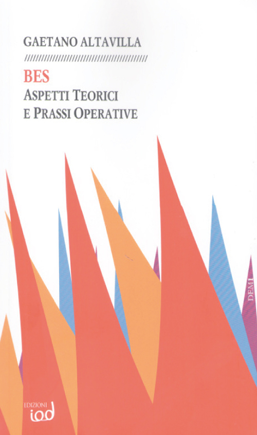 BES. Aspetti teorici e prassi operative