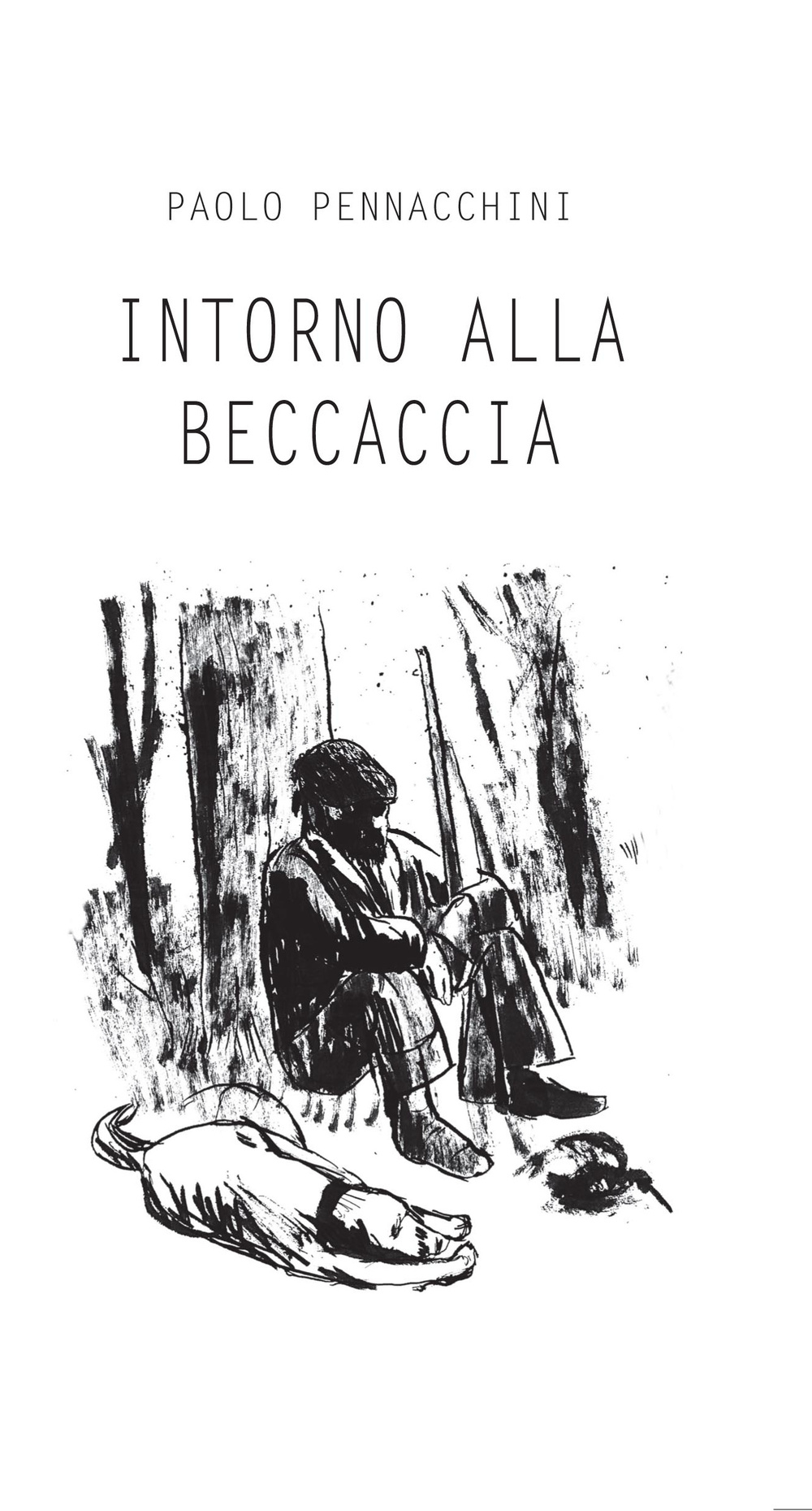 Intorno alla beccaccia