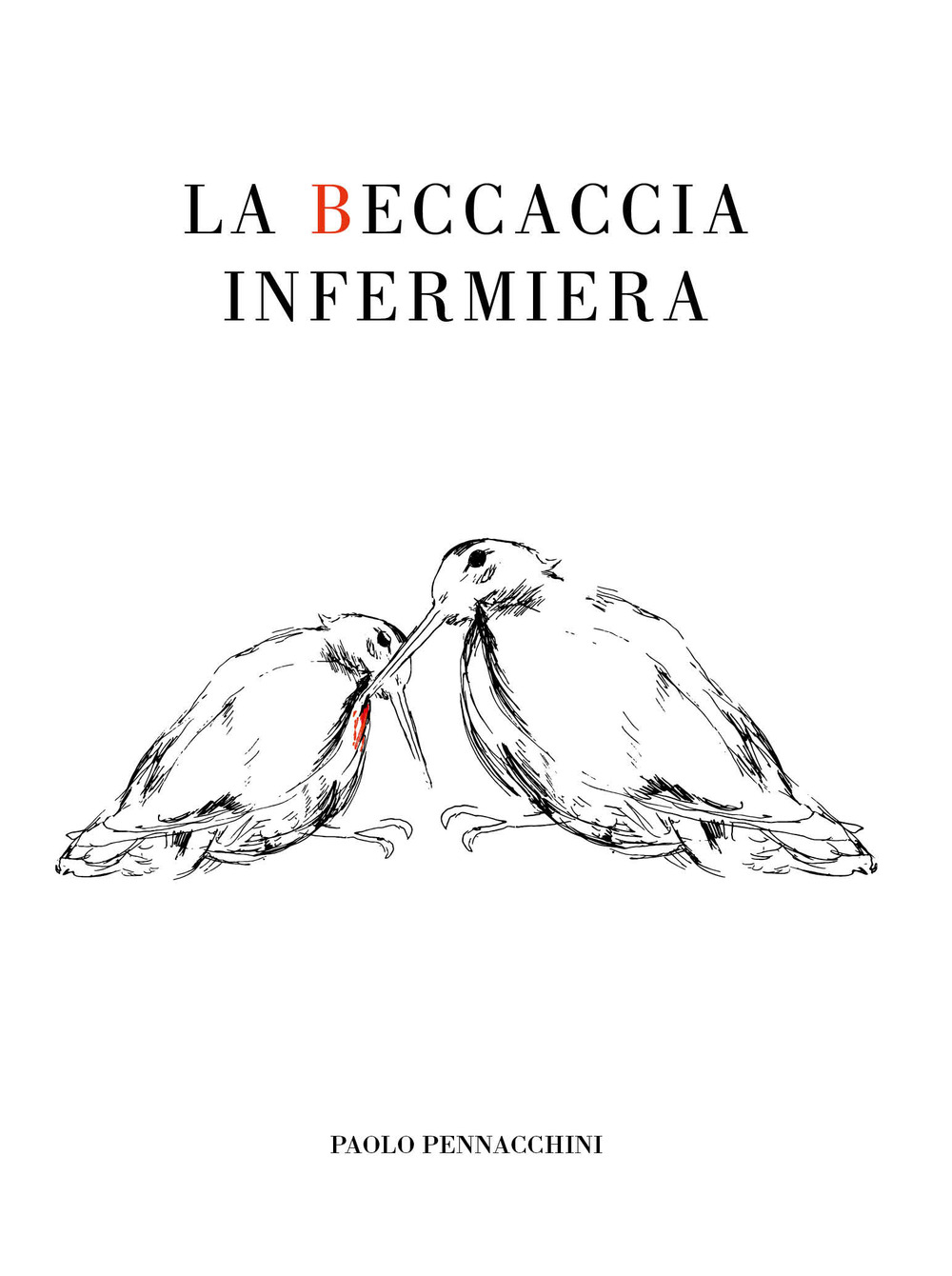 La beccaccia infermiera