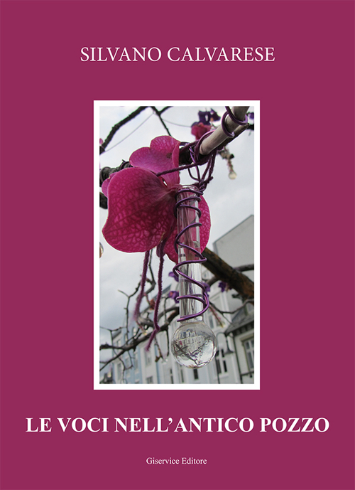 Le voci nell'antico pozzo