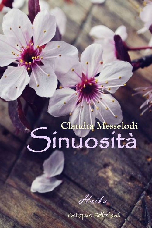 Sinuosità