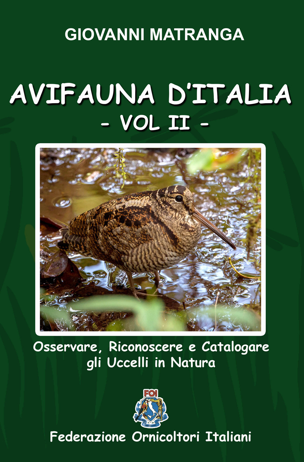 Avifauna d'Italia. Osservare, riconoscere e catalogare gli uccelli in natura. Vol. 2