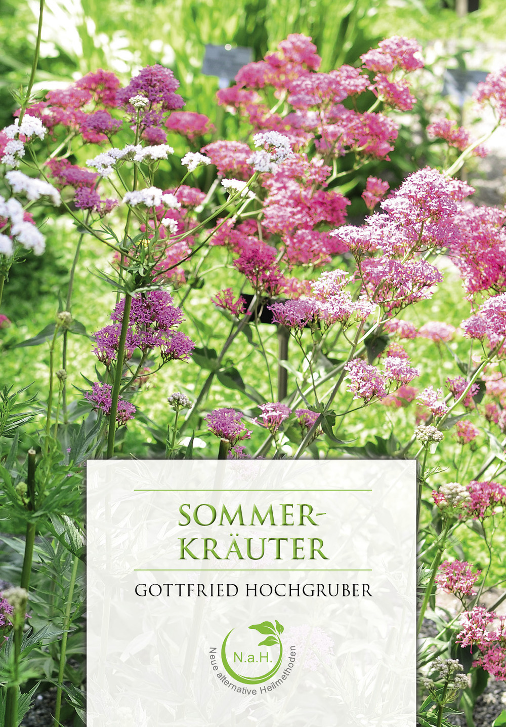 Sommerkräuter