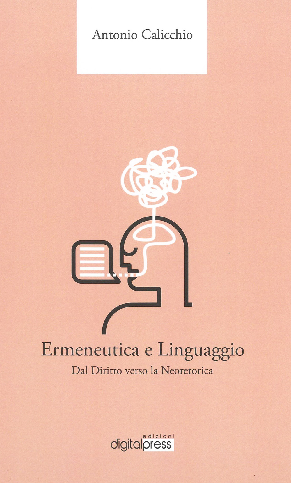 Ermeneutica e linguaggio. Dal diritto verso la neoretorica
