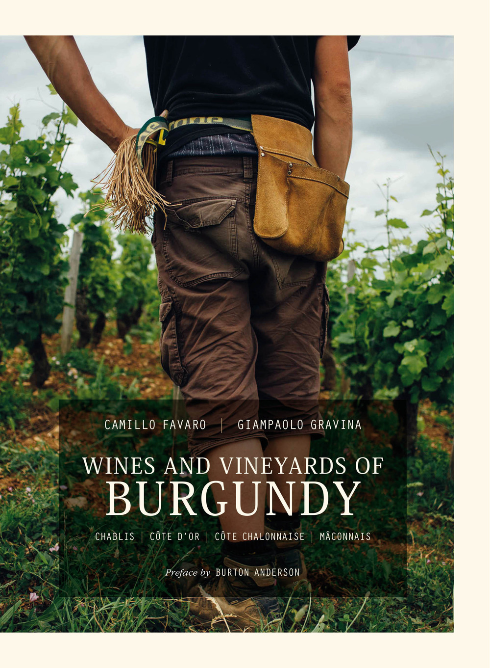 Wines and Vineyards of Burgundy. Chablis, Côte d’Or, Côte Chalonnaise, Mâconnais