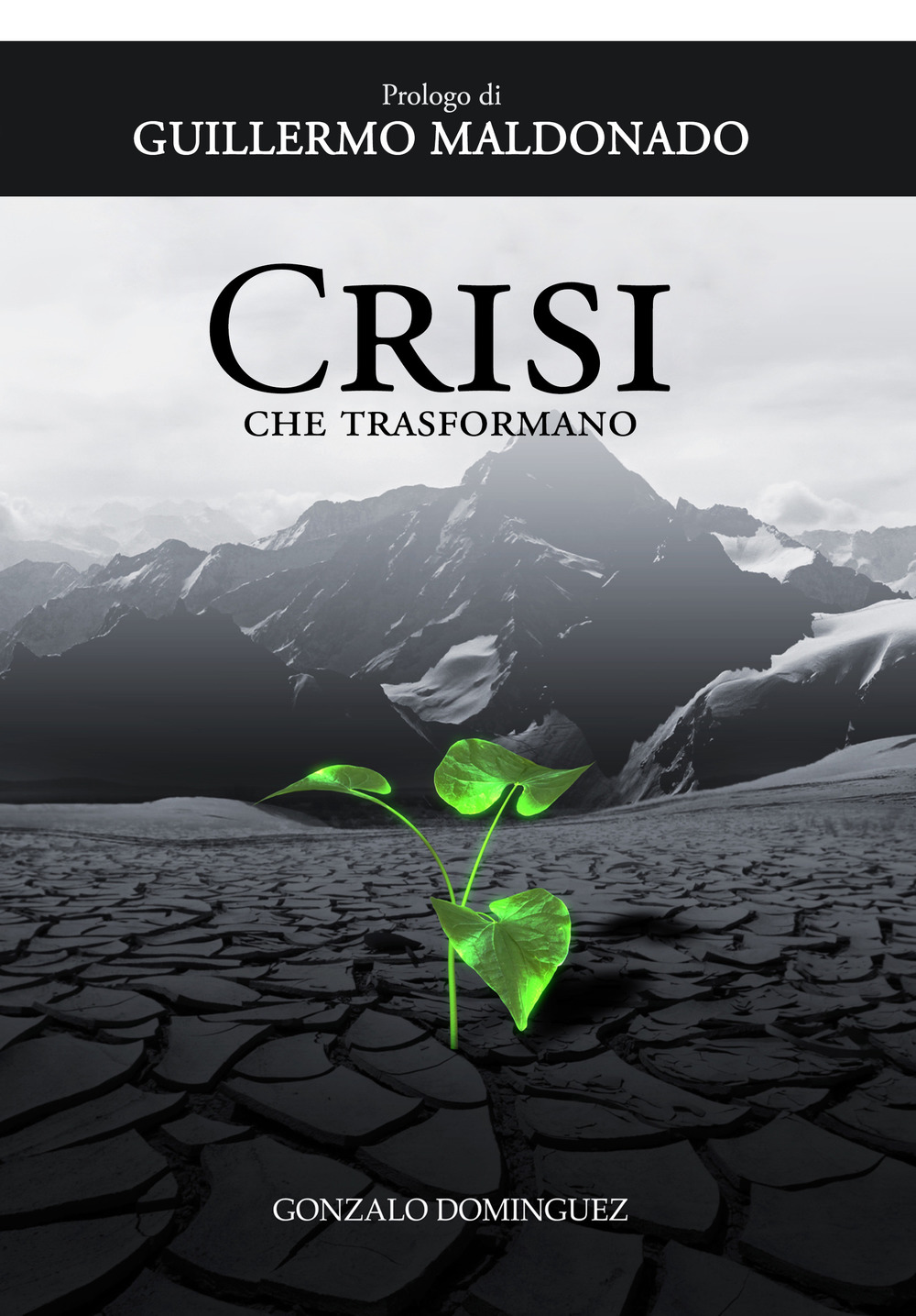 Crisi che trasformano