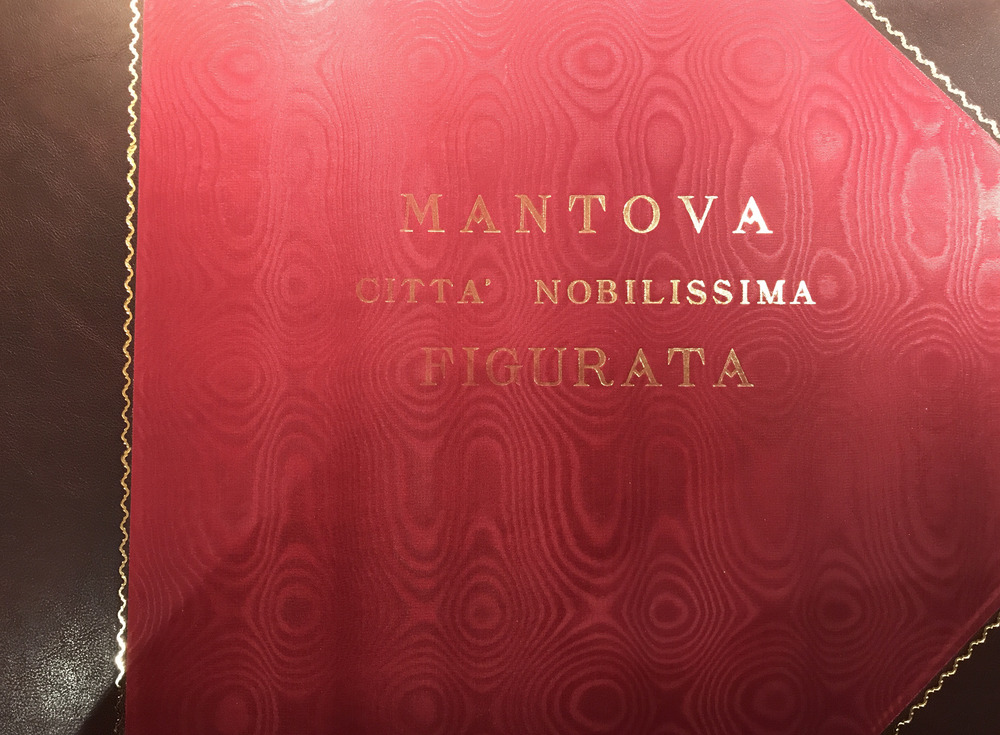 Mantova città nobilissima figurata
