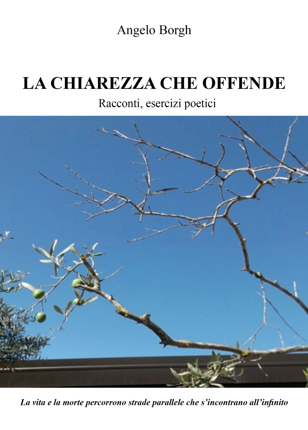 La chiarezza che offende. Racconti, esercizi poetici