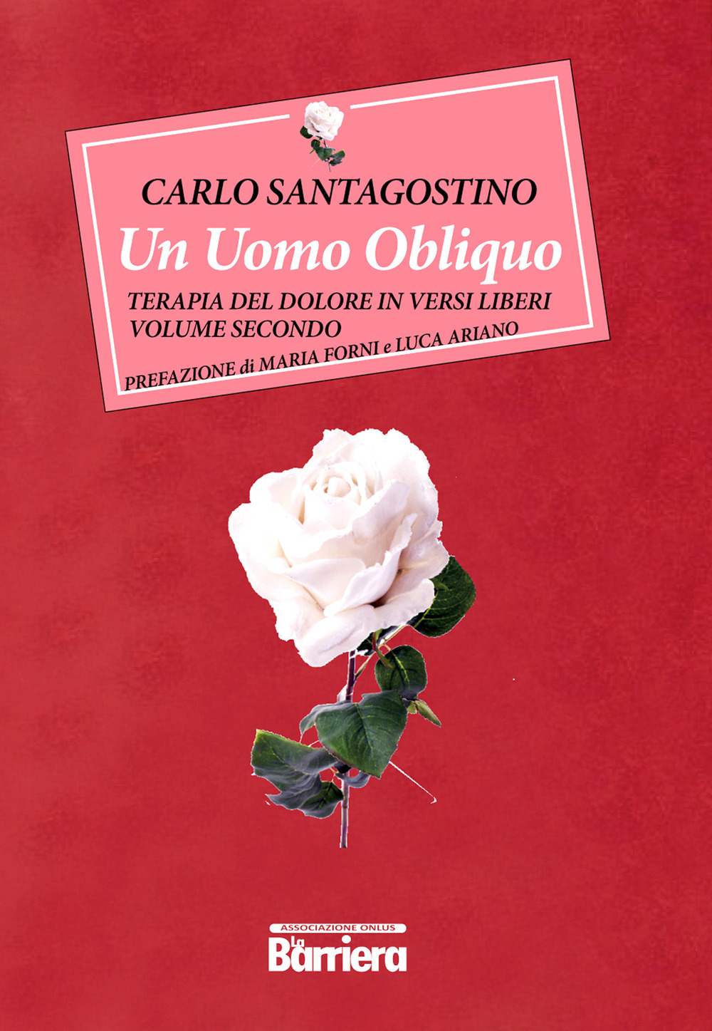 Un uomo obliquo. Terapia del dolore in versi liberi. Vol. 2