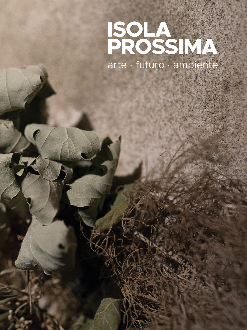 Isola prossima. Arte, futuro, ambiente
