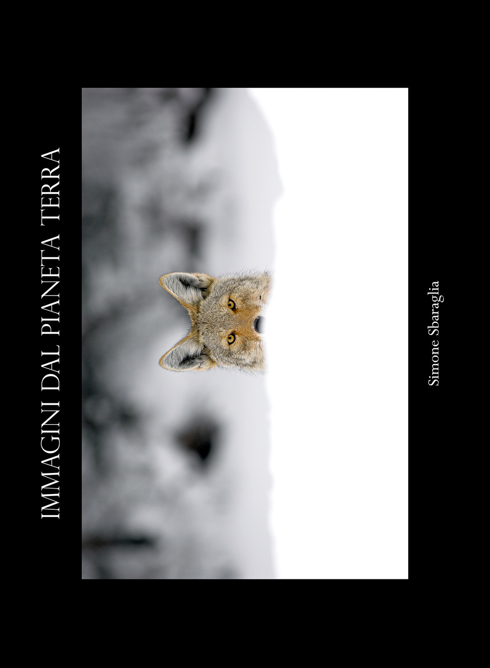 Immagini dal pianeta Terra