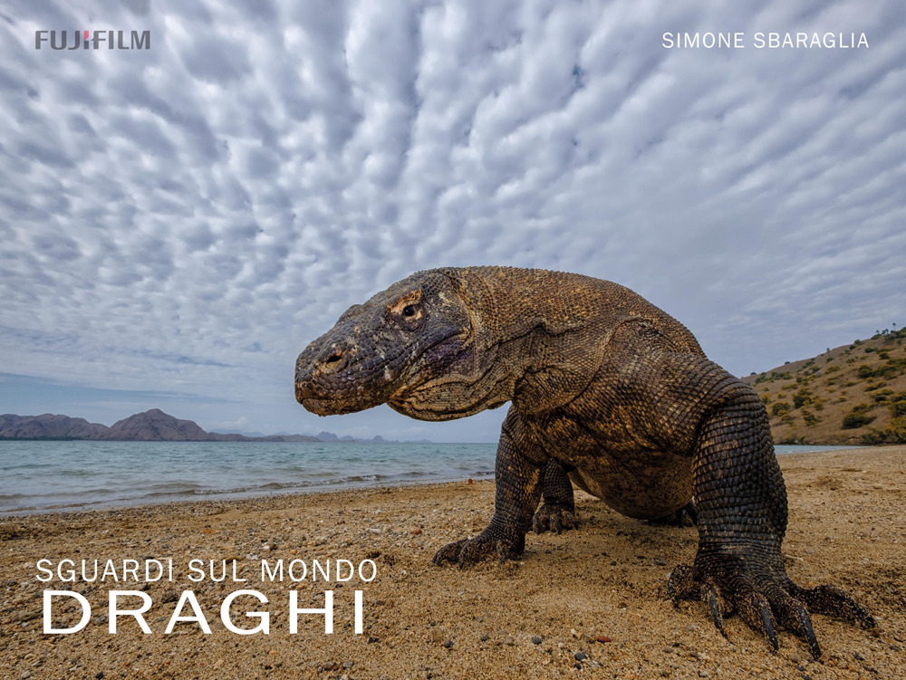 Sguardi sul mondo: Komodo