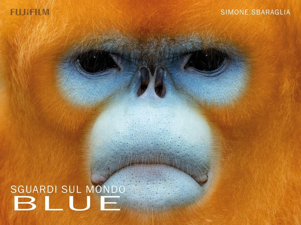 Sguardi sul mondo: Blue