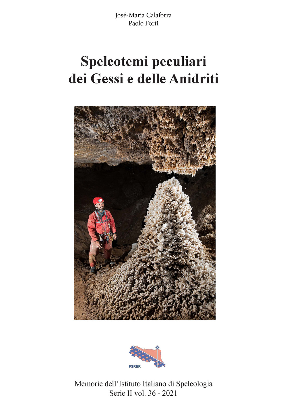 Speleotemi peculiari dei Gessi e delle Anidriti. Il punto sulle concrezioni e mineralizzazioni delle grotte in gesso e anidrite, rarità e peculiarità ad oggi poco conosciute