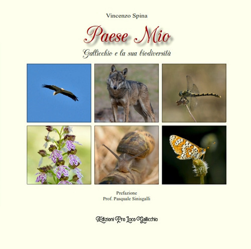 Paese mio. Gallicchio e la sua biodiversità