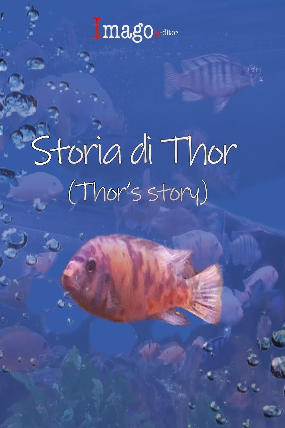 Storia di Thor-Thor's story
