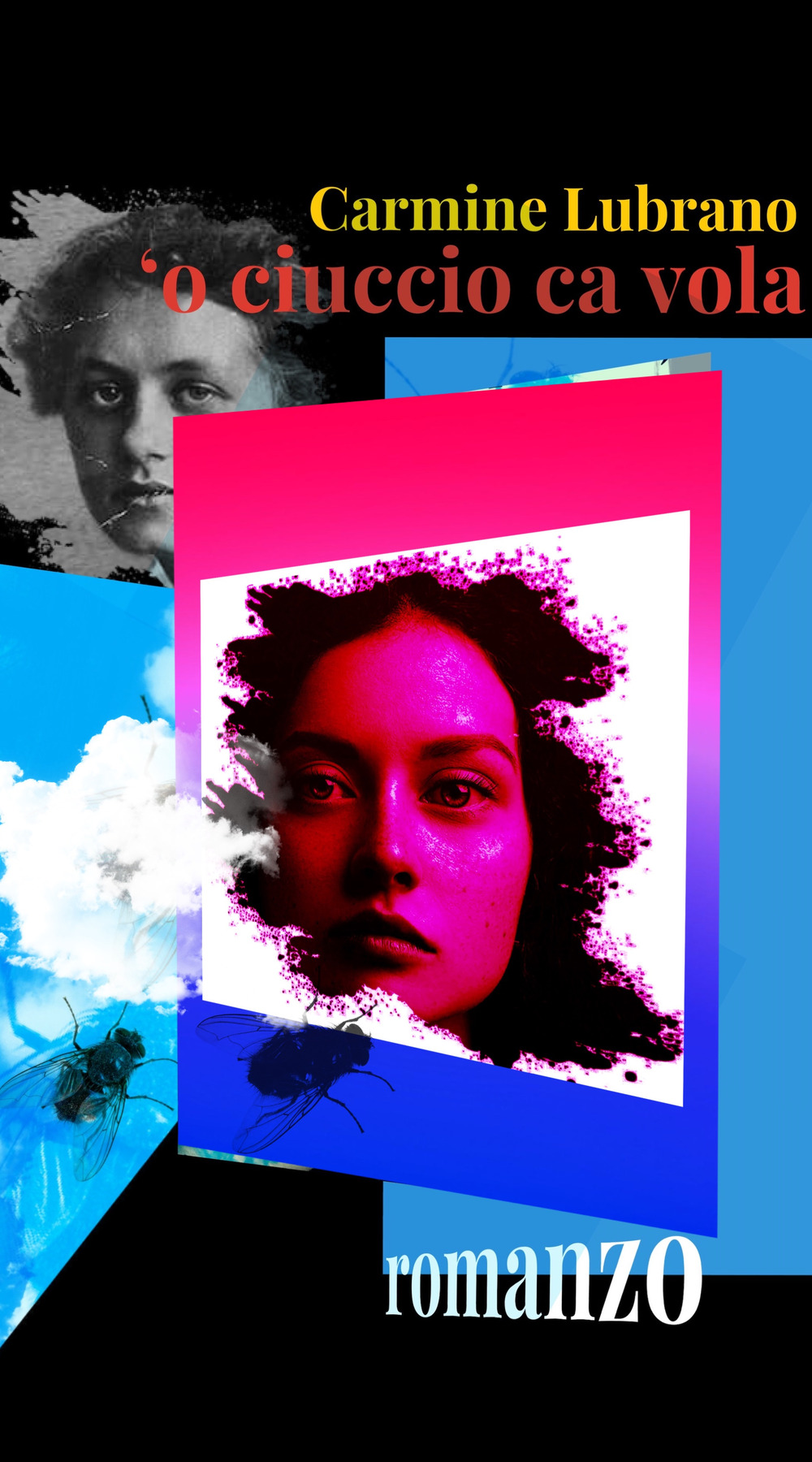 ‘O ciuccio ca vola. Il romanzo di AnnArosa