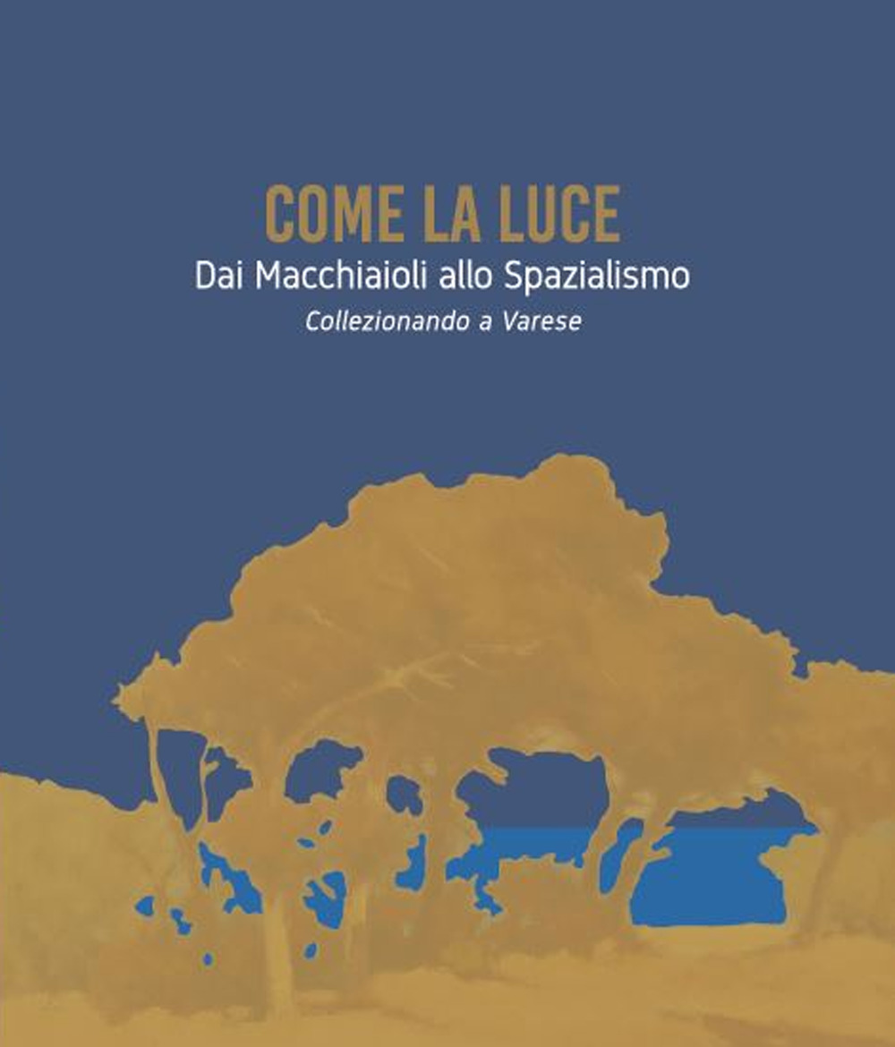 Come la luce. Dai Macchiaioli allo spazialismo. Collezionando a Varese