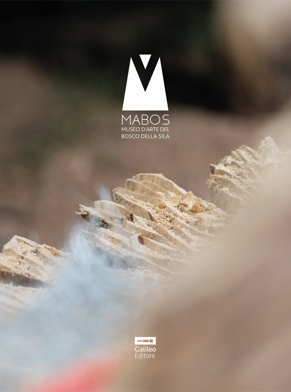 Il catalogo del Mabos. Arte e bosco. Sense 2019-2022
