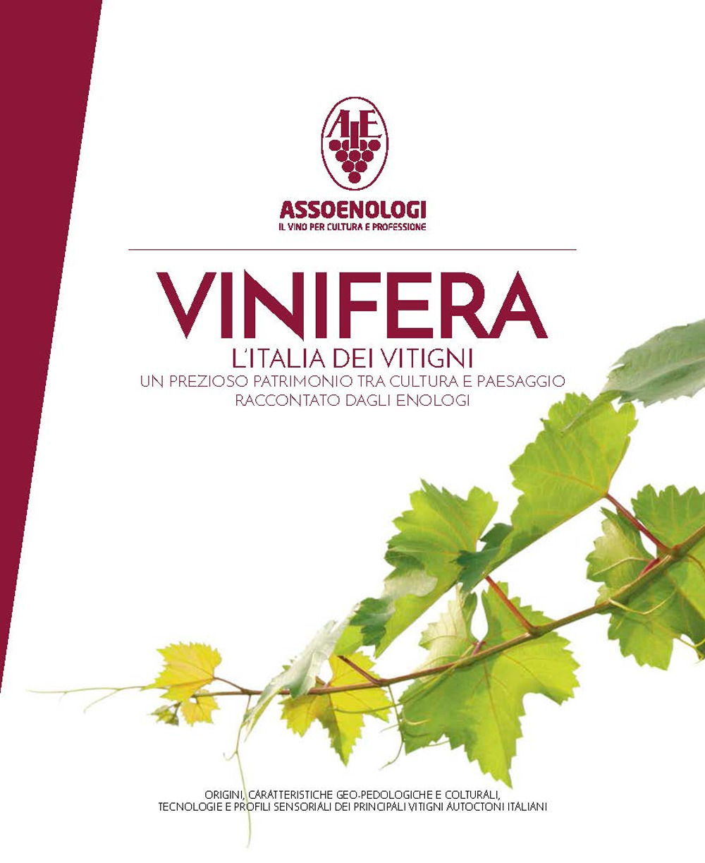 Vinifera. L'Italia dei vitigni. Origini, caratteristiche geo-pedologiche e colturali, tecnologie e profili sensoriali dei principali vitigni autoctoni italiani
