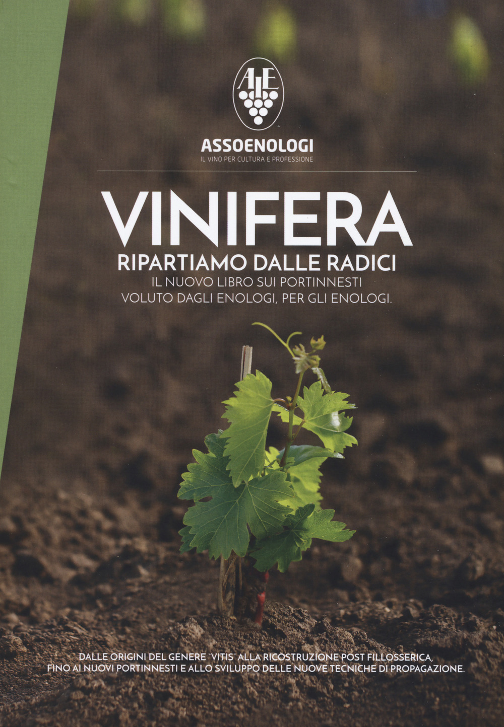 Vinifera. Ripartiamo dalle radici. Il nuovo libro sui portinnesti voluto dagli enologi, per gli enologi. Dalle origini del genere vitis alla ricostruzione post fillosserica fino ai nuovi portinnesti ed allo sviluppo di nuove tecniche di propagazione