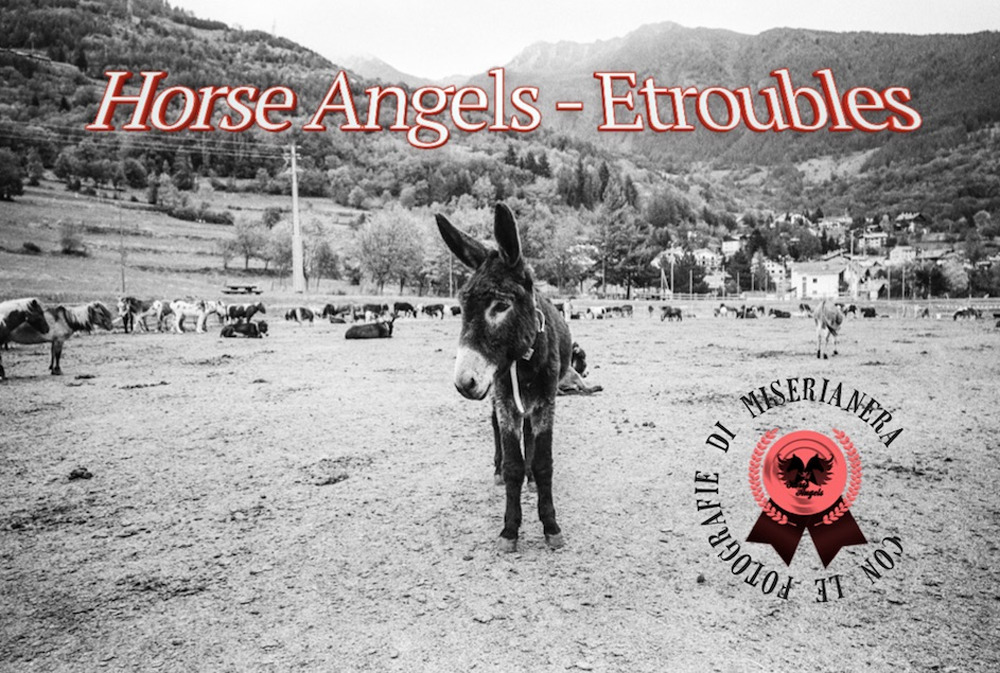 Horse Angels. Etroubles