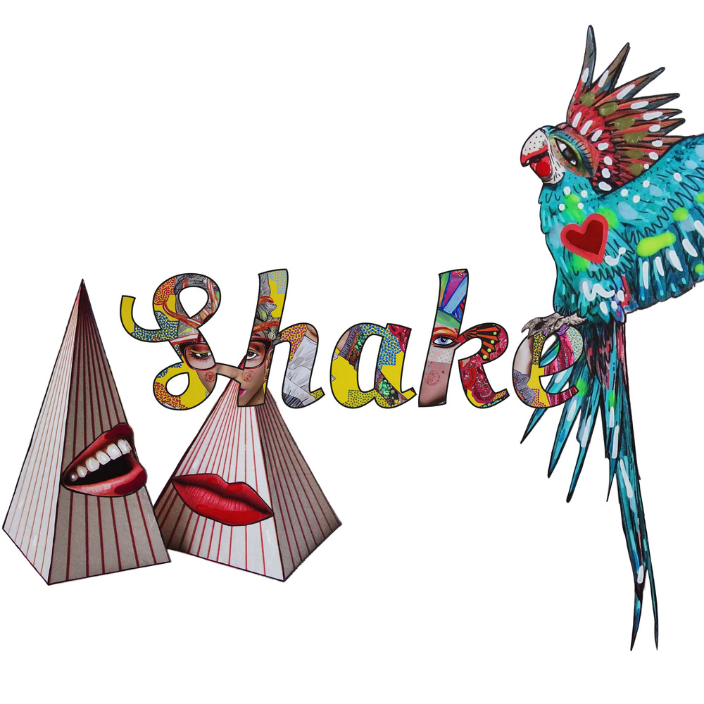 Che collage sia! Shake it up. Ediz. italiana e inglese