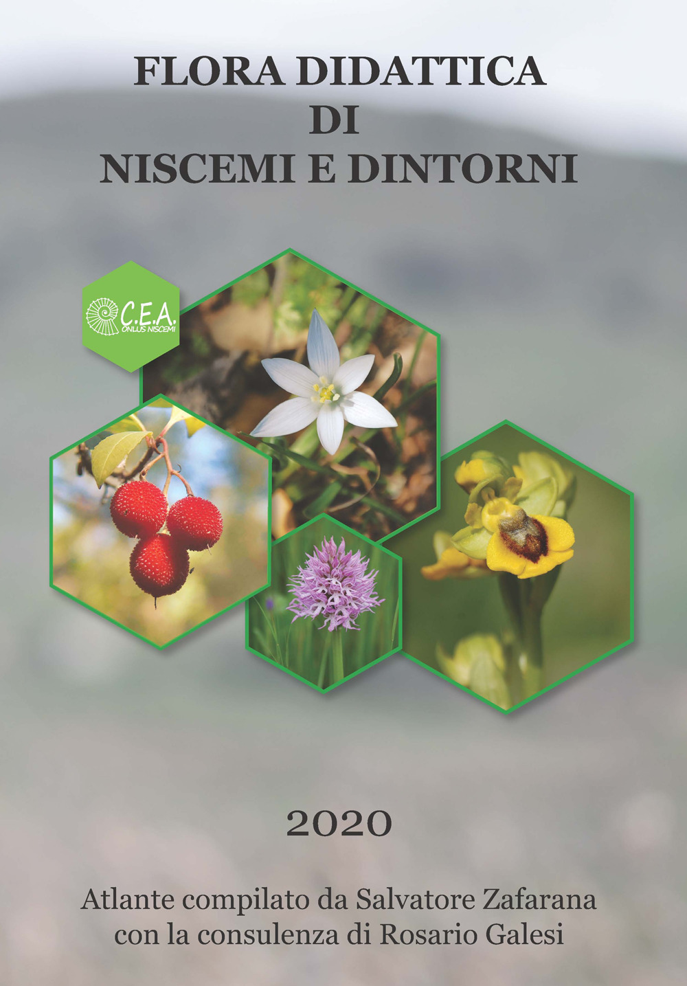 Flora didattica di Niscemi e dintorni. Atlante
