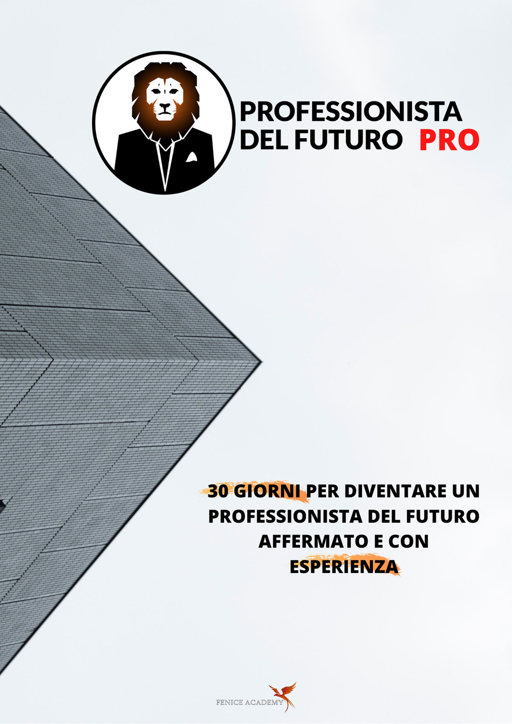 Professionista del futuro PRO. 30 giorni per diventare un professionista del futuro affermato e con esperienza